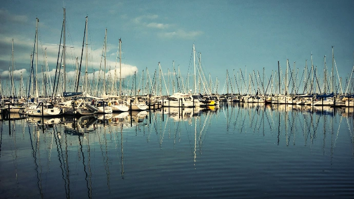 Many sailboats docked in a calm harbor with reflections