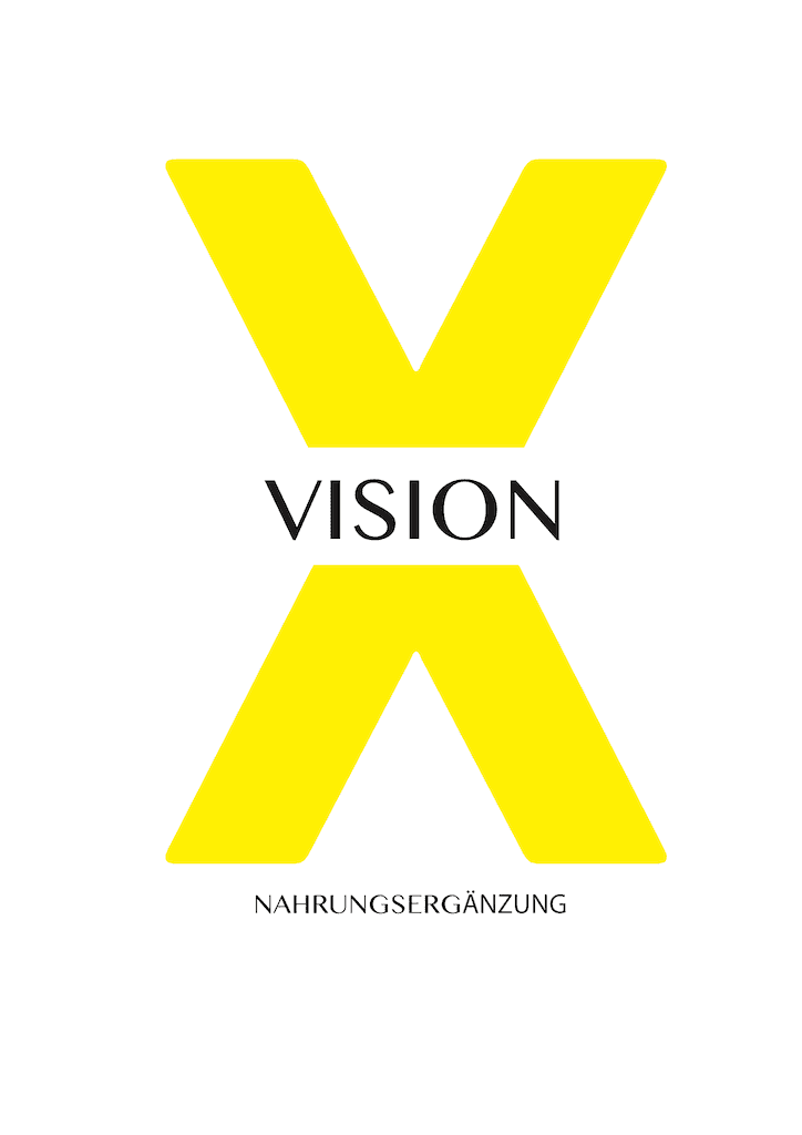 VisionX